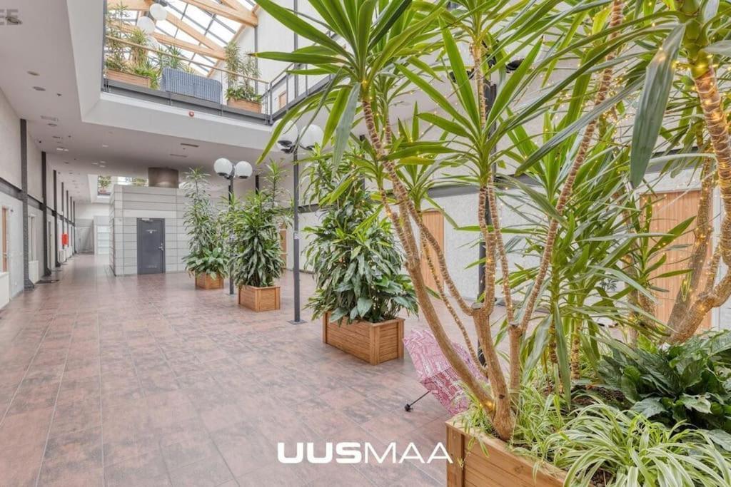 Charming Loft Near Old Town Lägenhet Tallinn Exteriör bild